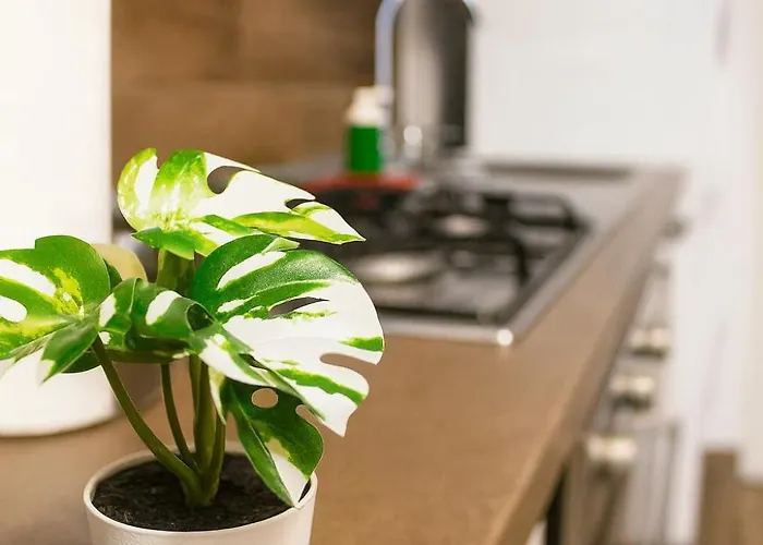 Appartement Silvia's Sweet